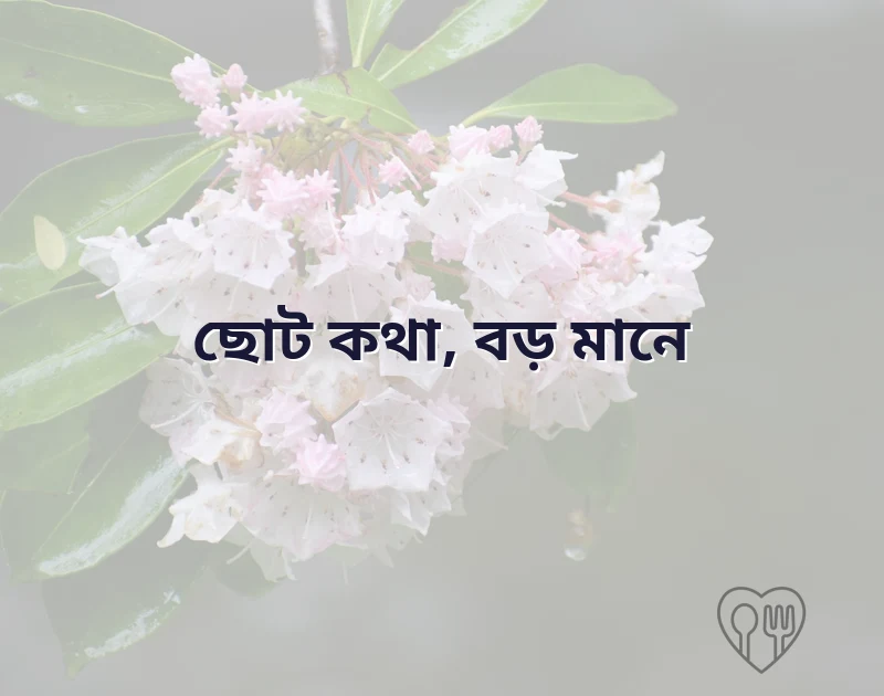 আকর্ষণীয় একটি ছবি