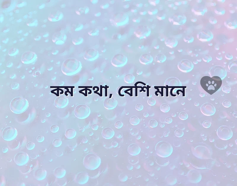 ছোট ফেসবুক ক্যাপশন