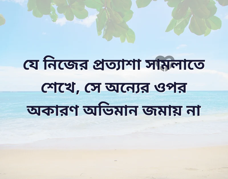 দারুণ একটি ছবি
