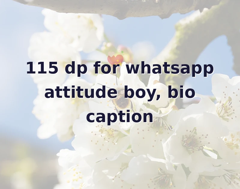 dp for whatsapp attitude boy