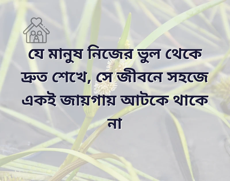 সুন্দর একটি ছবি