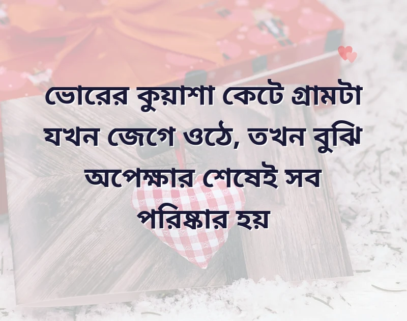 dp picture for whatsapp