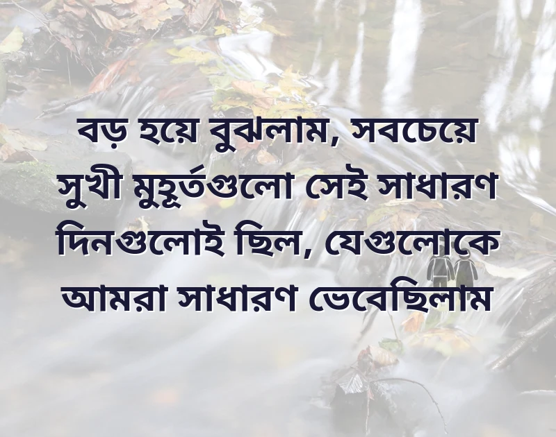 মন ছুঁয়ে যাওয়া ছবি
