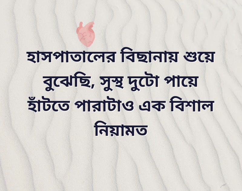 আকর্ষণীয় একটি ছবি