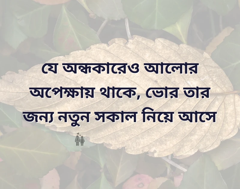 আকর্ষণীয় একটি ছবি