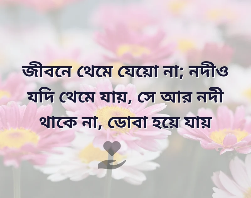 facebook bangla bio