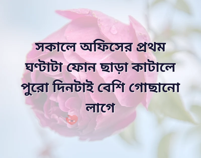 পছন্দের একটি ছবি