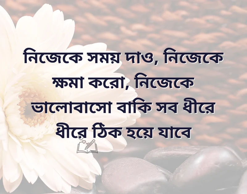 আকর্ষণীয় একটি ছবি