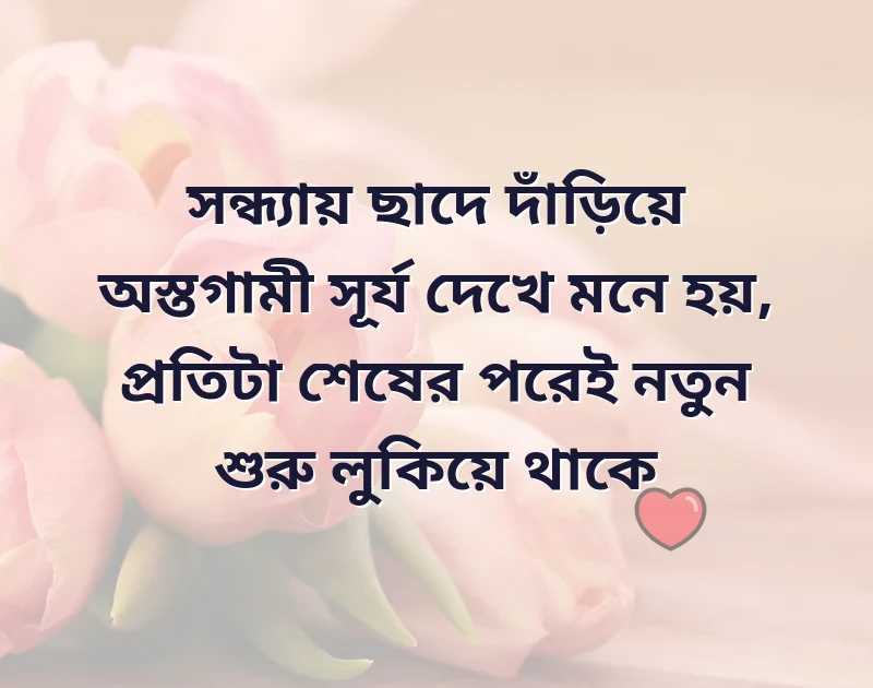 সুন্দর একটি ছবি