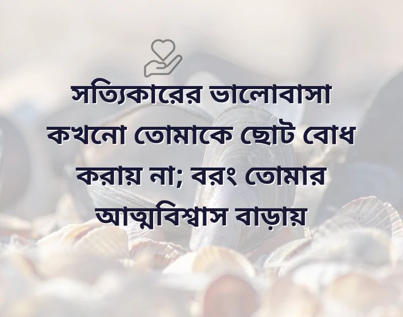 আকর্ষণীয় একটি ছবি