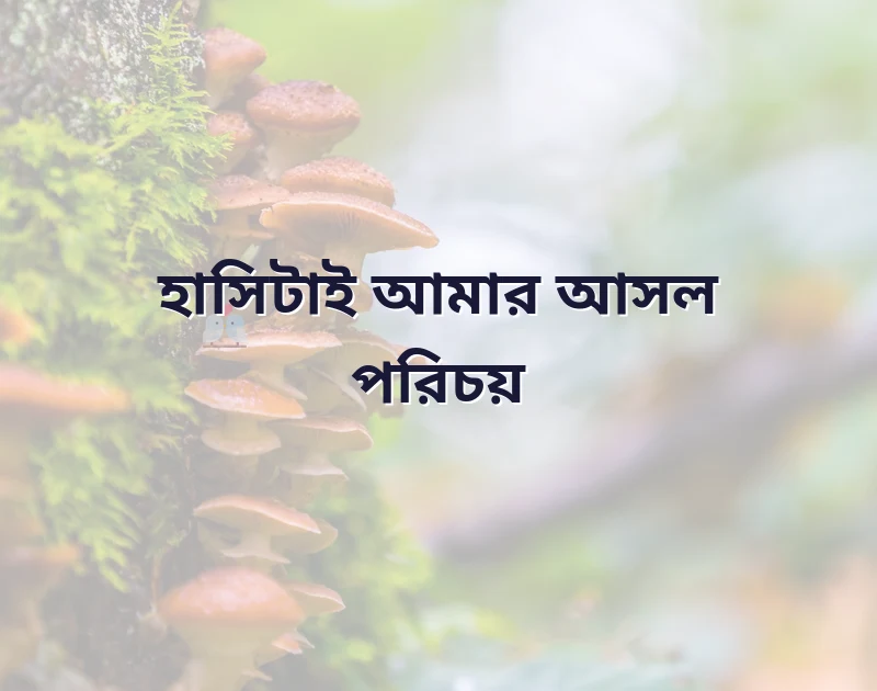 মন ছুঁয়ে যাওয়া ছবি