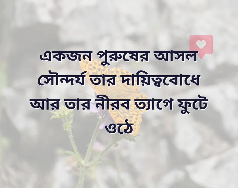মন ছুঁয়ে যাওয়া ছবি