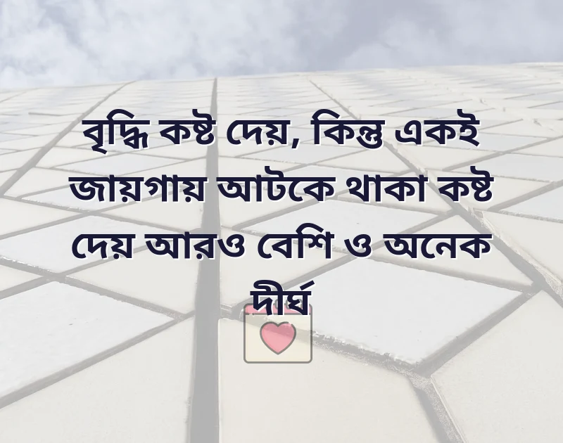 পছন্দের একটি ছবি