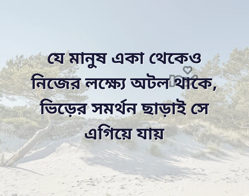 সুন্দর একটি ছবি