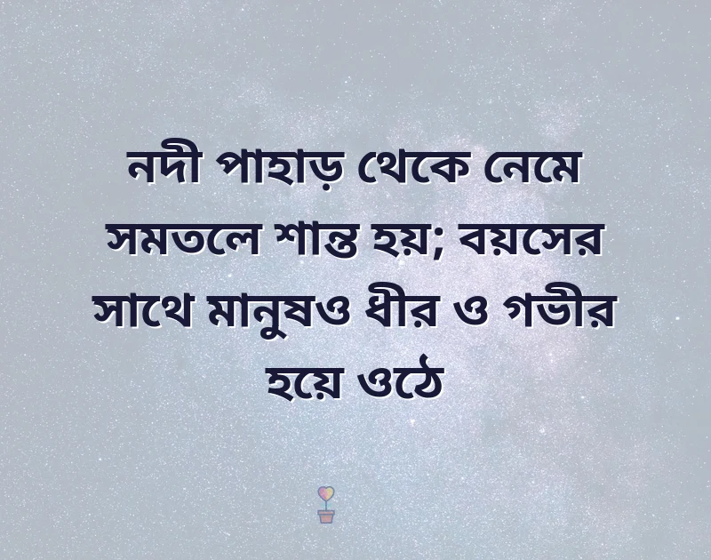 দারুণ একটি ছবি