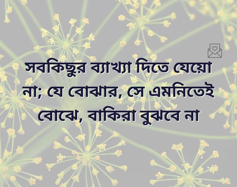আকর্ষণীয় একটি ছবি