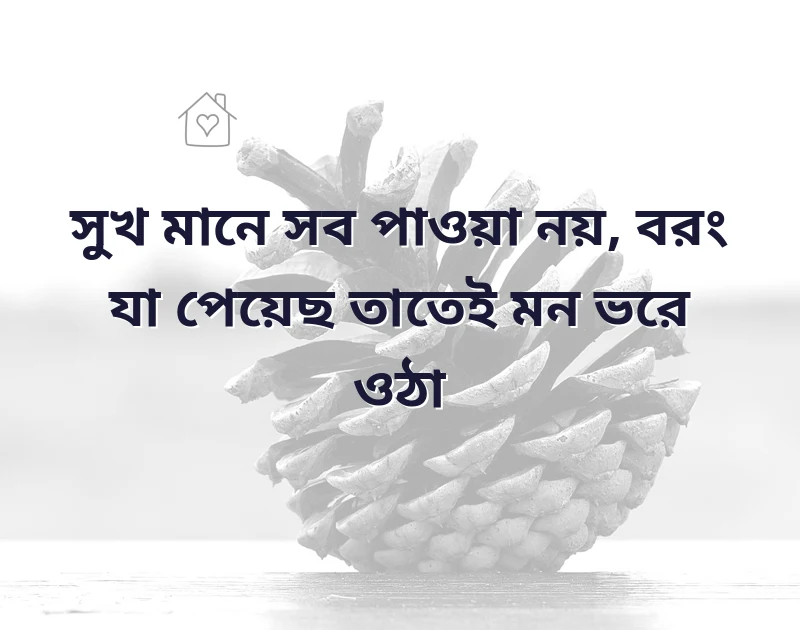 fb bangla caption attitude