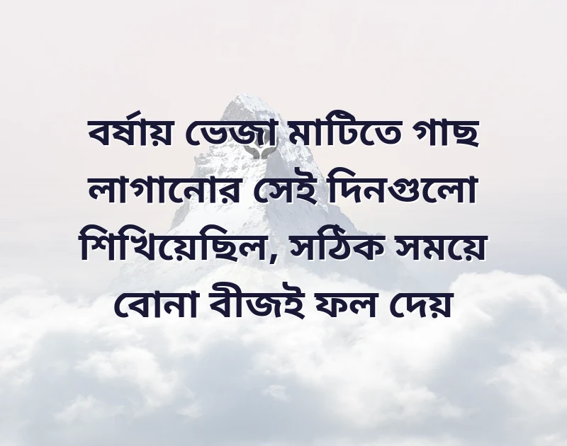 দারুণ একটি ছবি