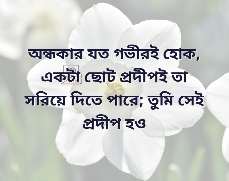 fb bio shayari