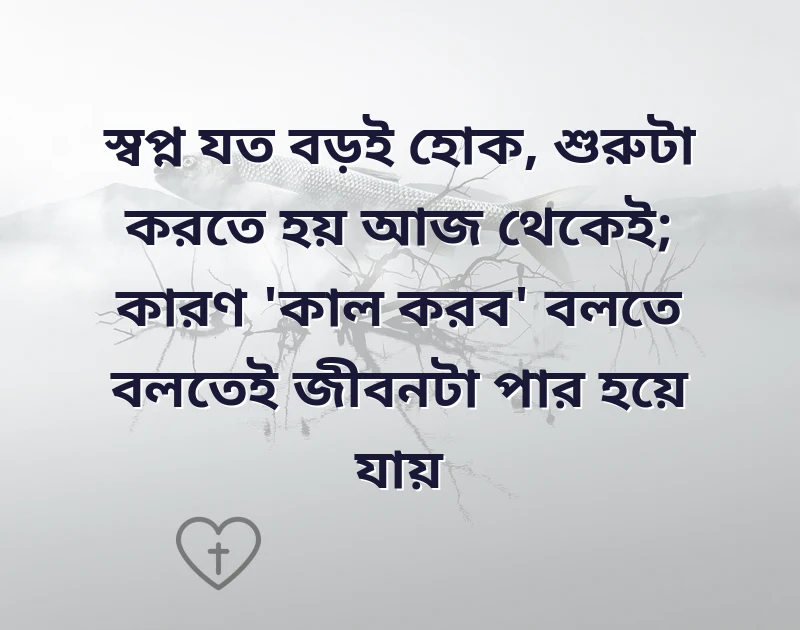 সুন্দর একটি ছবি
