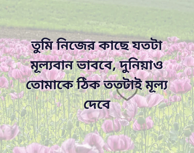fb caption attitude bangla