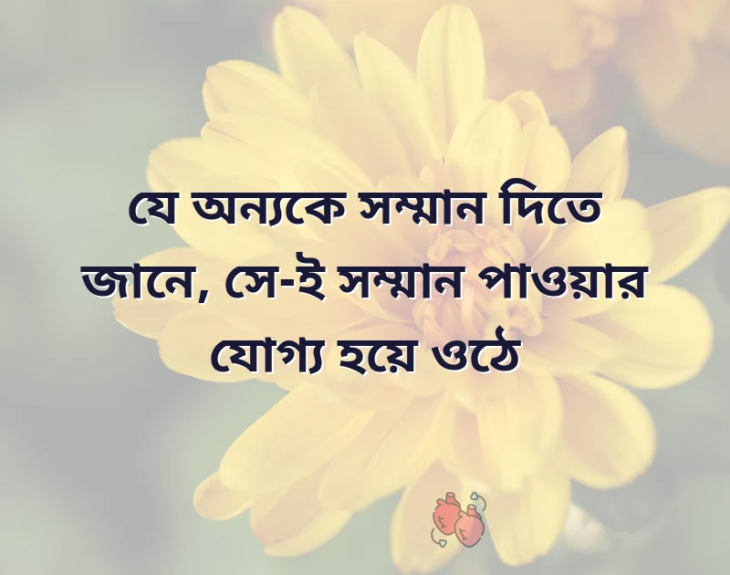 শেয়ার করার মতো ছবি