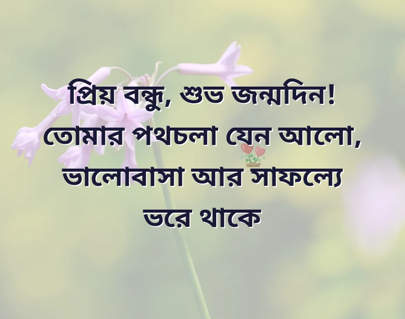 মন ছুঁয়ে যাওয়া ছবি