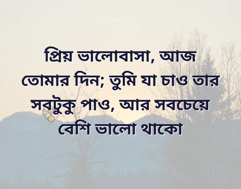সুন্দর একটি ছবি