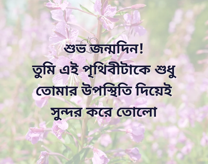 happy birthday ক্যাপশন
