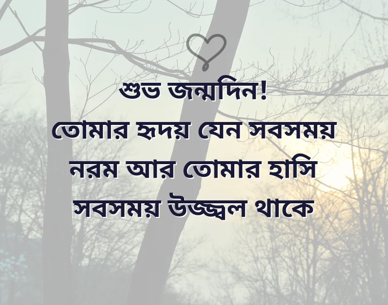 happy birthday wishes bangla status