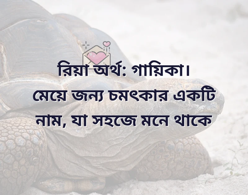 আকর্ষণীয় একটি ছবি