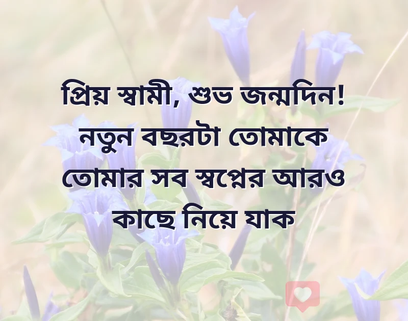 সুন্দর একটি ছবি