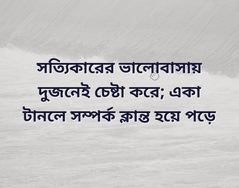 husband wife love status bangla