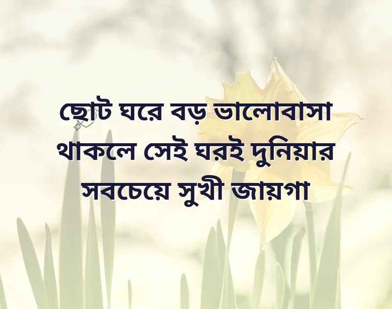 আকর্ষণীয় একটি ছবি