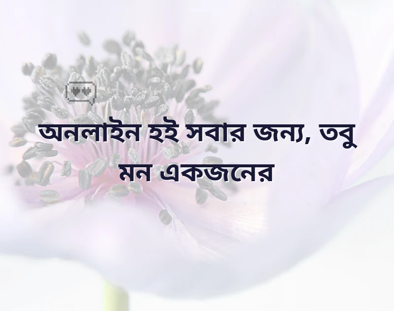 দারুণ একটি ছবি