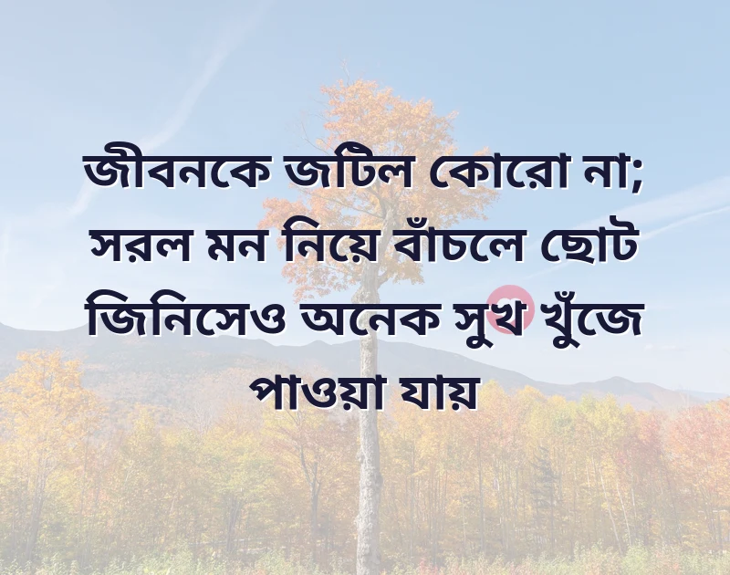 দারুণ একটি ছবি