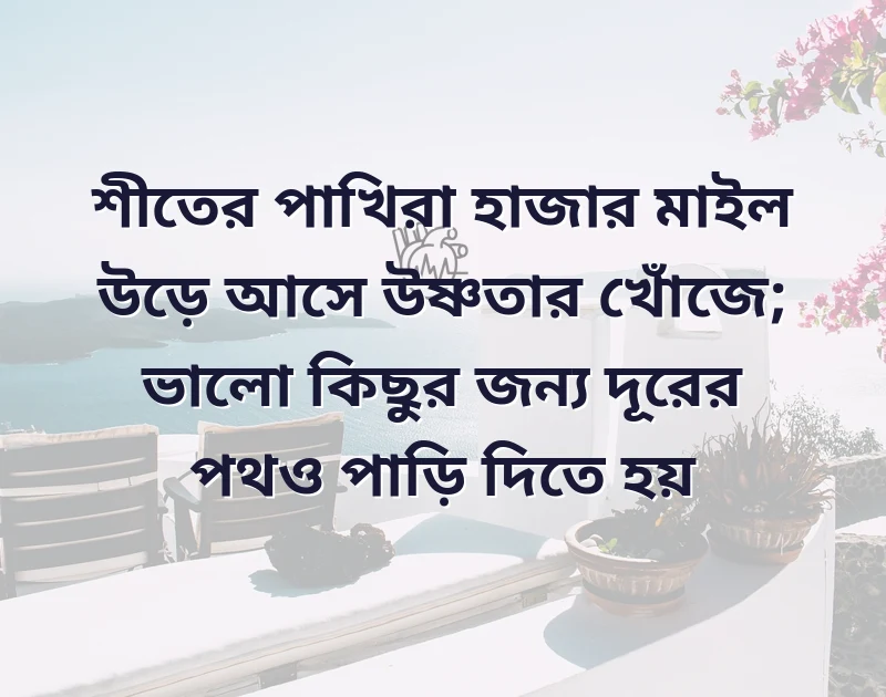 মন ছুঁয়ে যাওয়া ছবি