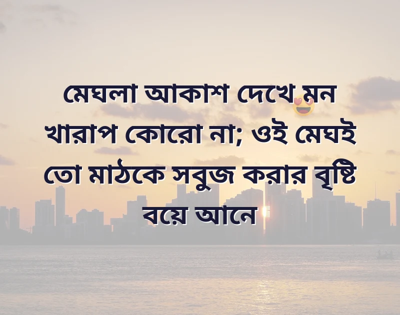 সুন্দর একটি ছবি