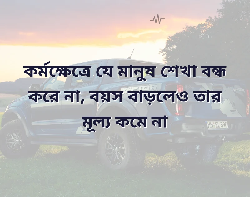 শেয়ার করার মতো ছবি