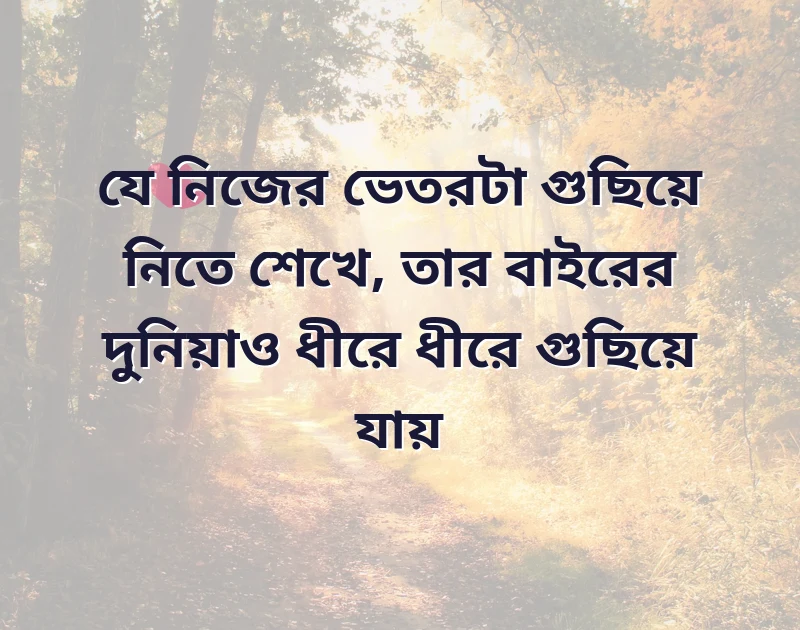 আকর্ষণীয় একটি ছবি