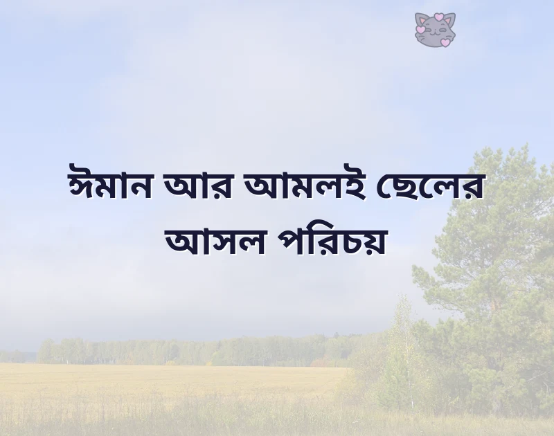 দারুণ একটি ছবি
