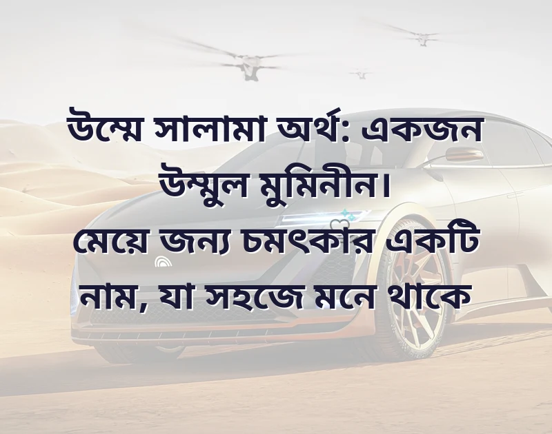 আকর্ষণীয় একটি ছবি