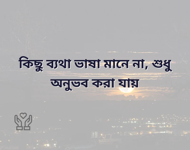সুন্দর একটি ছবি