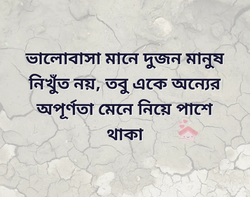 love caption for fb in bengali