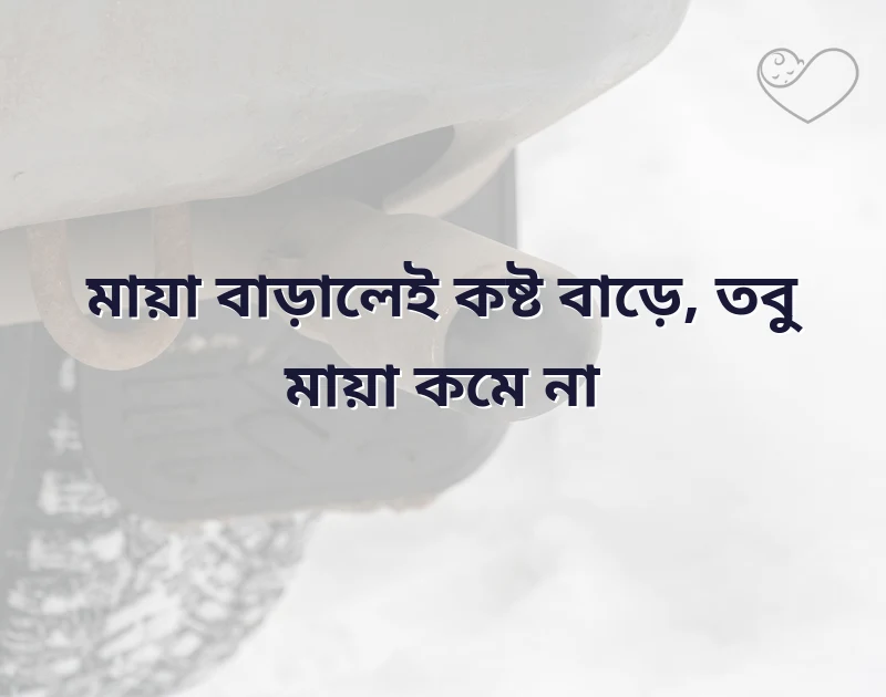 মায়া নিয়ে কষ্টের উক্তি