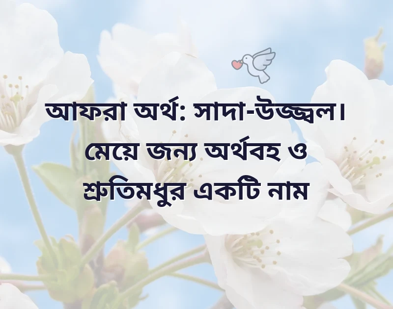 মন ছুঁয়ে যাওয়া ছবি