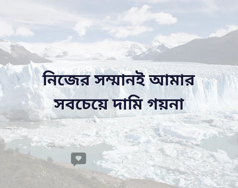 দারুণ একটি ছবি