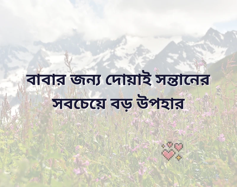 দারুণ একটি ছবি
