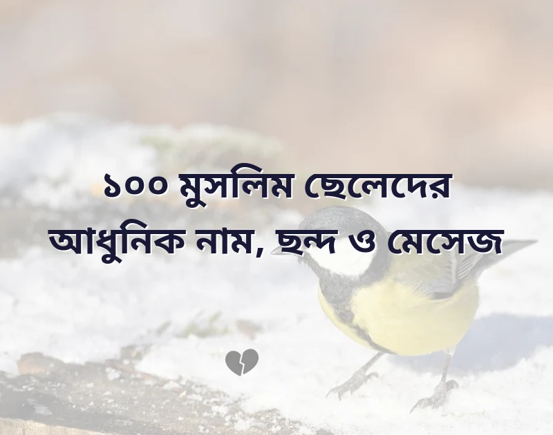 মুসলিম ছেলেদের আধুনিক নাম