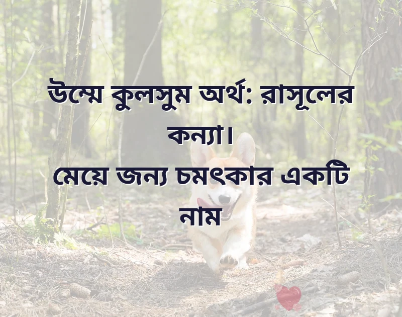 নাম মেয়েদের